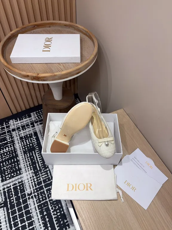 Dior Shoe 